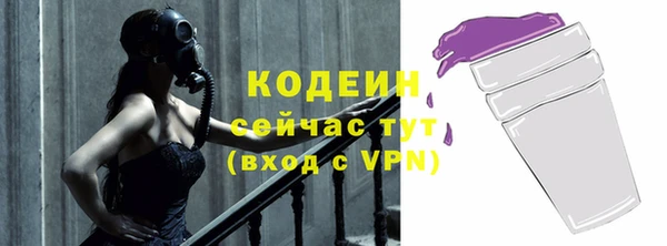 соль ск Няндома