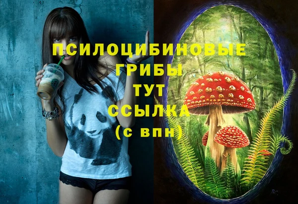 сатива Остров