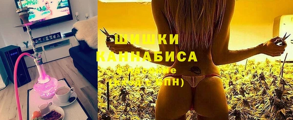 соль ск Няндома
