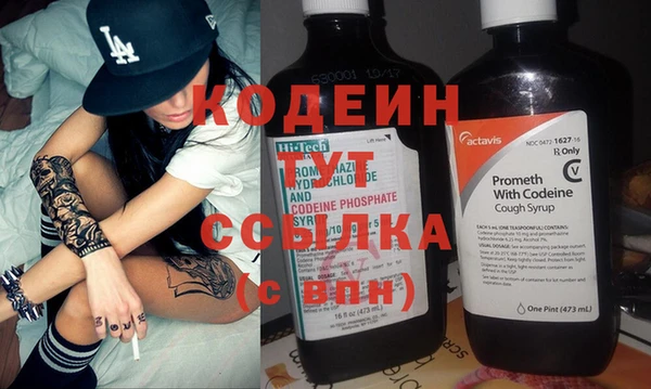 соль ск Няндома
