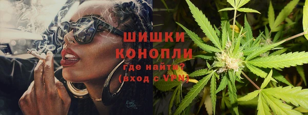 apvp Осинники
