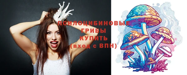 сатива Остров