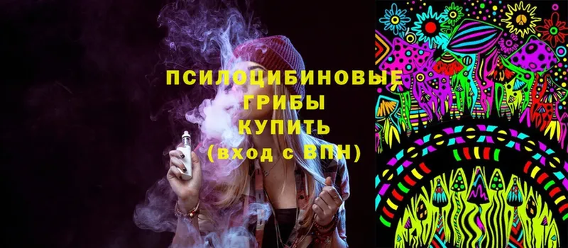 где купить   Красный Сулин  Псилоцибиновые грибы MAGIC MUSHROOMS 