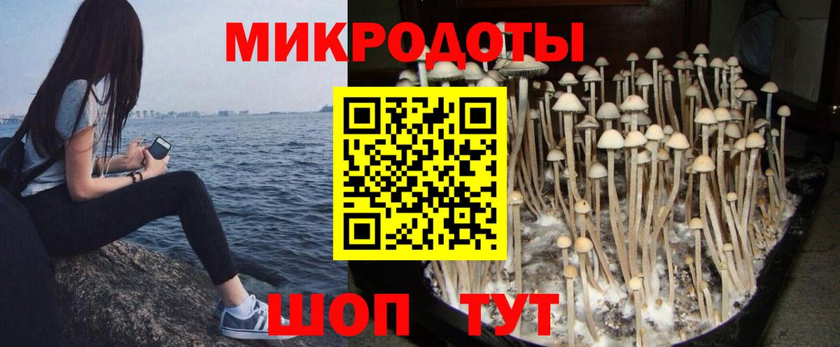 Галлюциногенные грибы мицелий  Псилоцибиновые грибы мицелий  Красный Сулин  Вход с VPN 