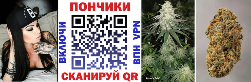 Бошки Шишки сатива где найти наркотики Красный Сулин